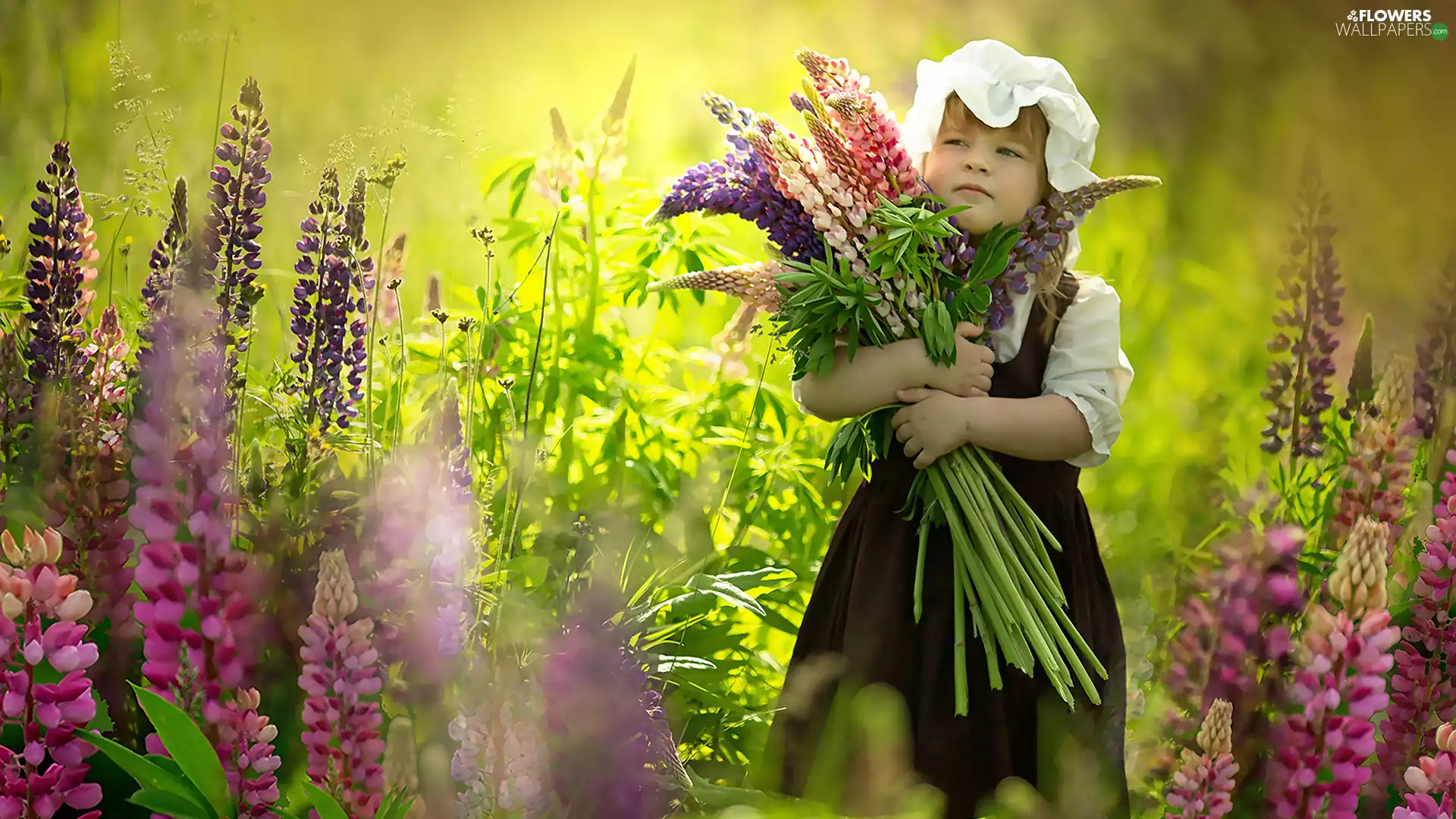 Flowers, Kid, girl, lupine