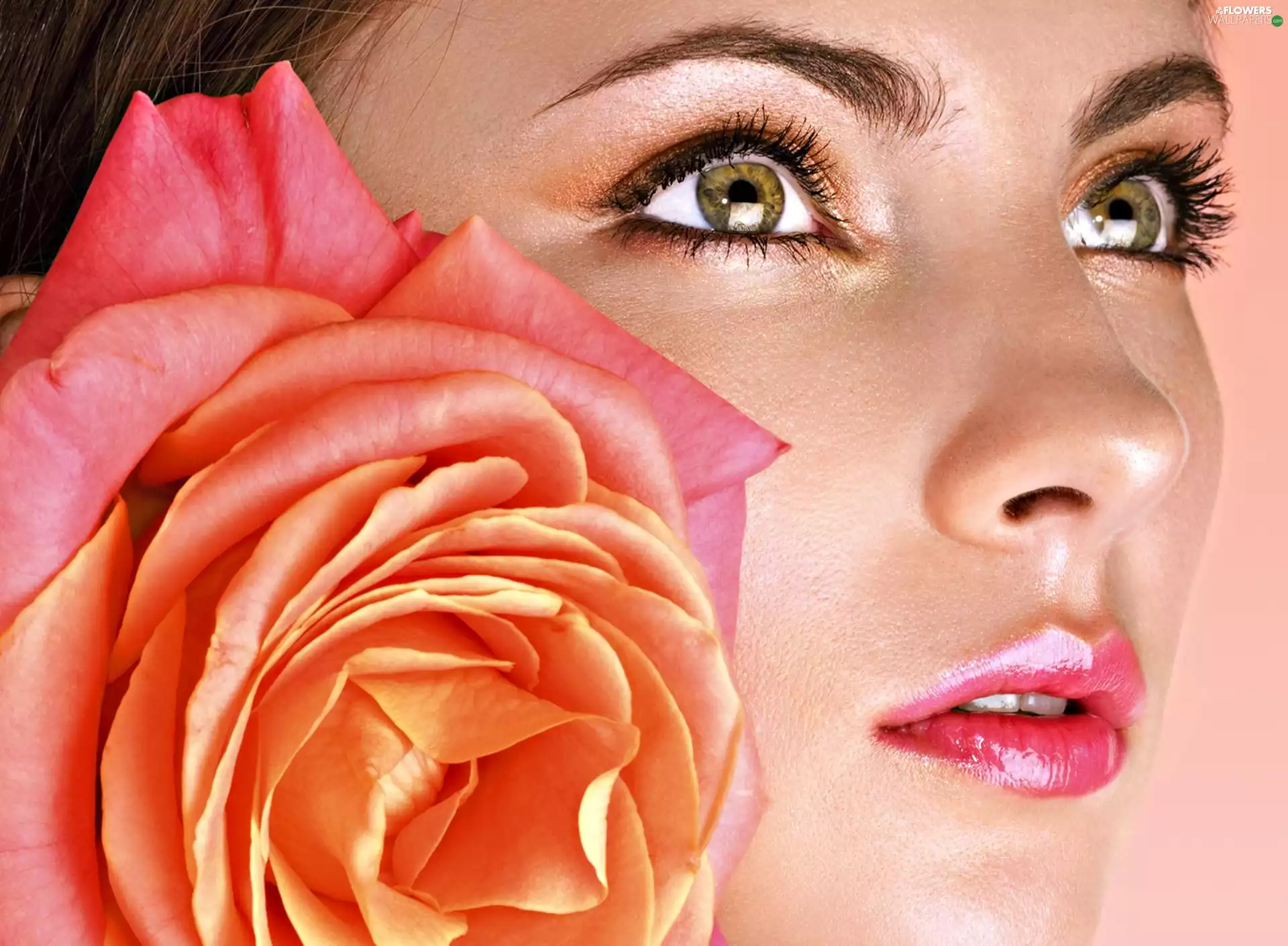 rose, Women, make-up