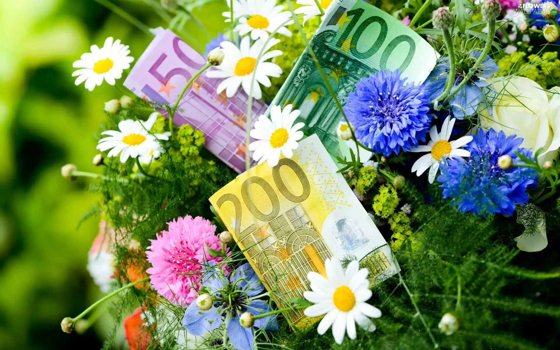 money, bouquet, flowers