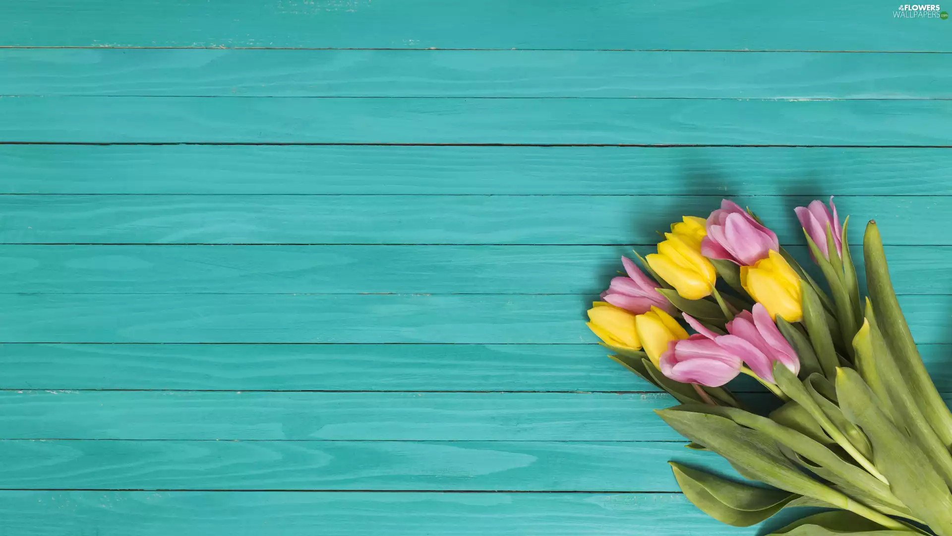 Tulips, Yellow, green ones, boarding, bouquet, Pink