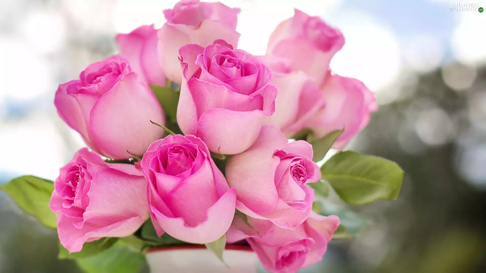 bouquet, roses, rapprochement, Pink