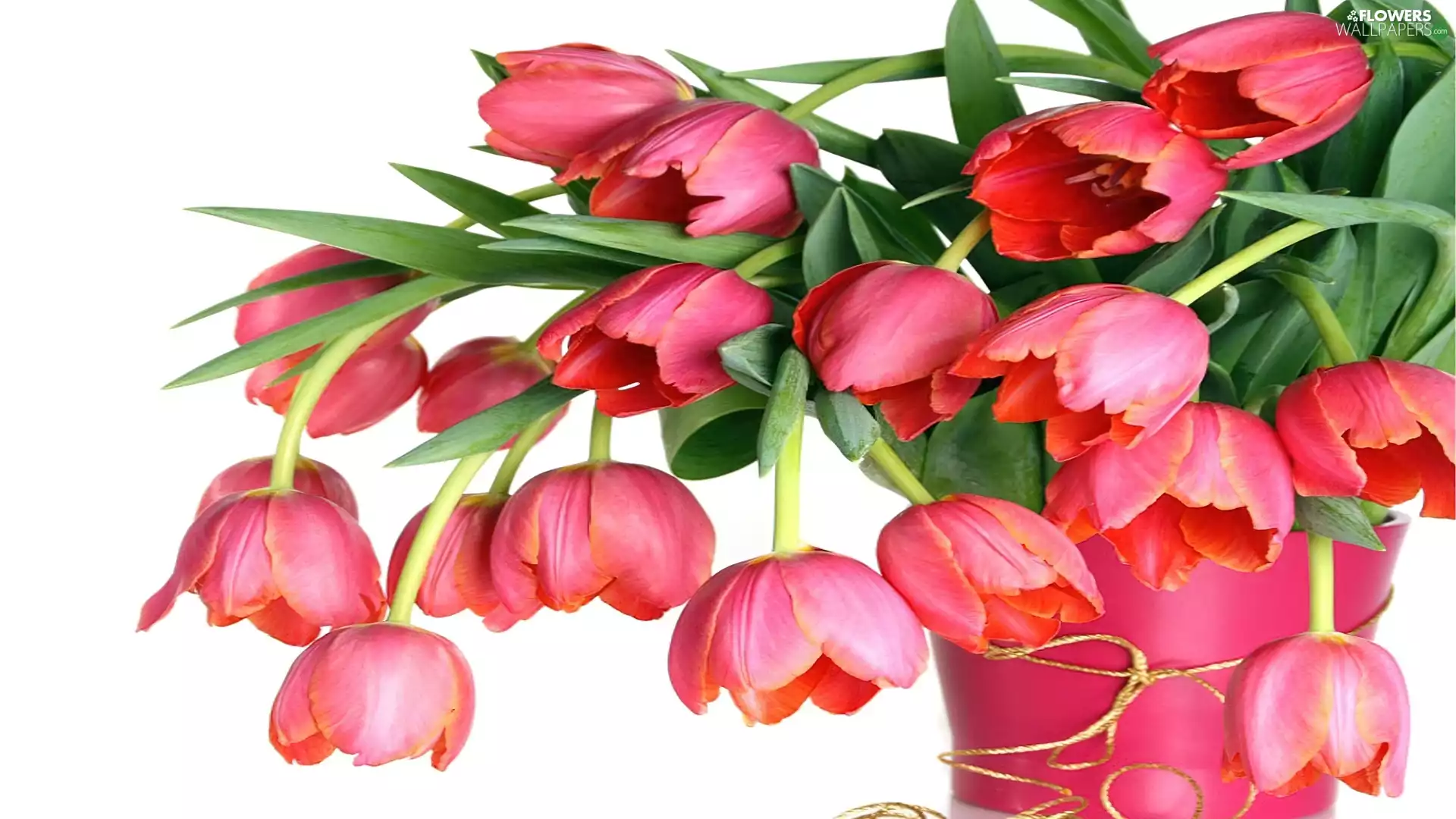 Pink, Vase, pink, tulips, bouquet