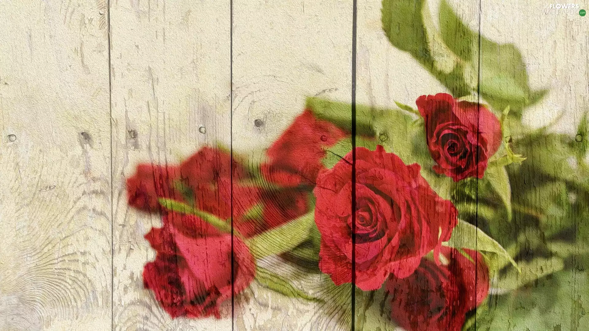 graphics, roses, boarding, Red