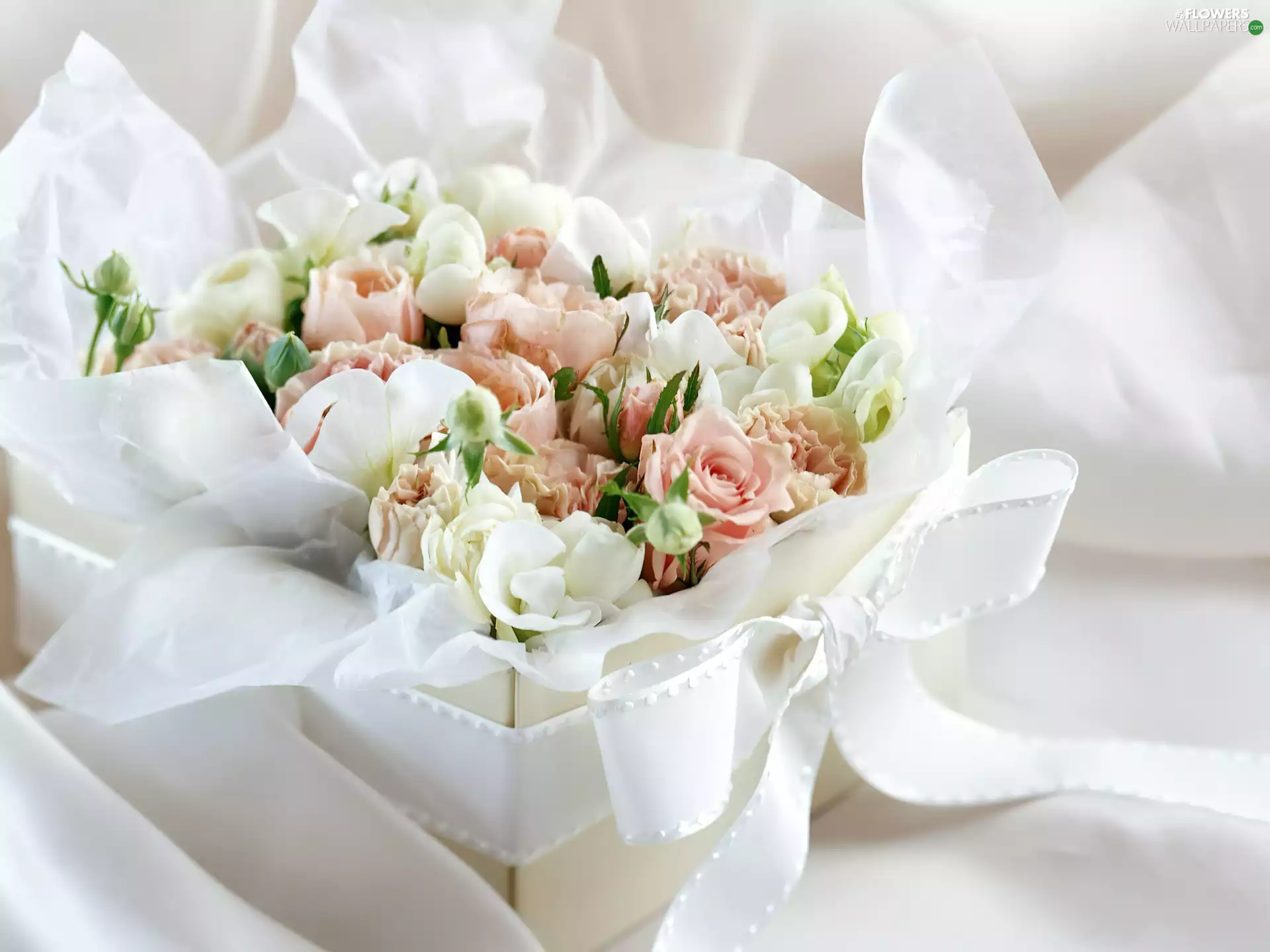 ribbon, Box, roses, White, bouquet