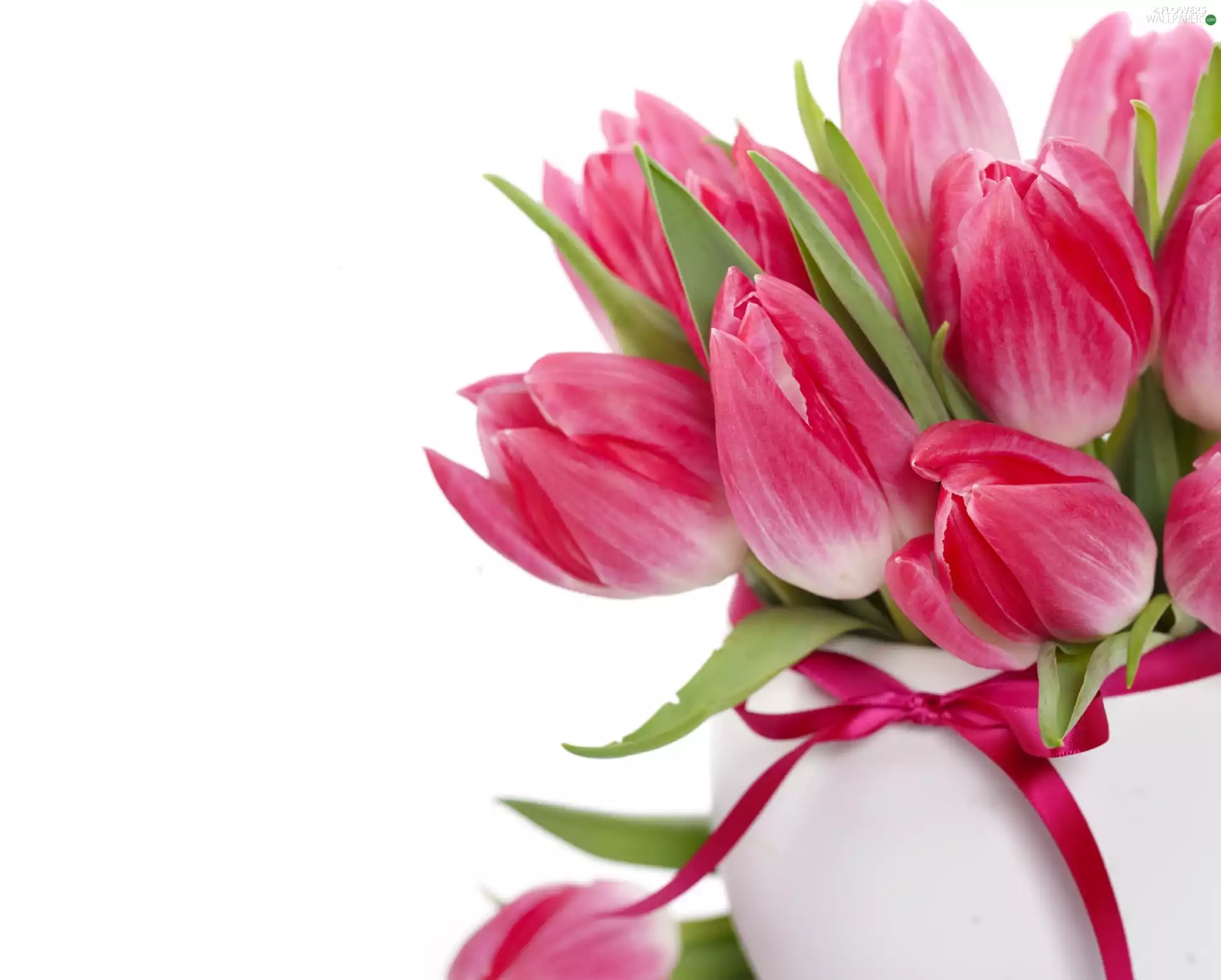 Vase, tulips, ribbon, bouquet