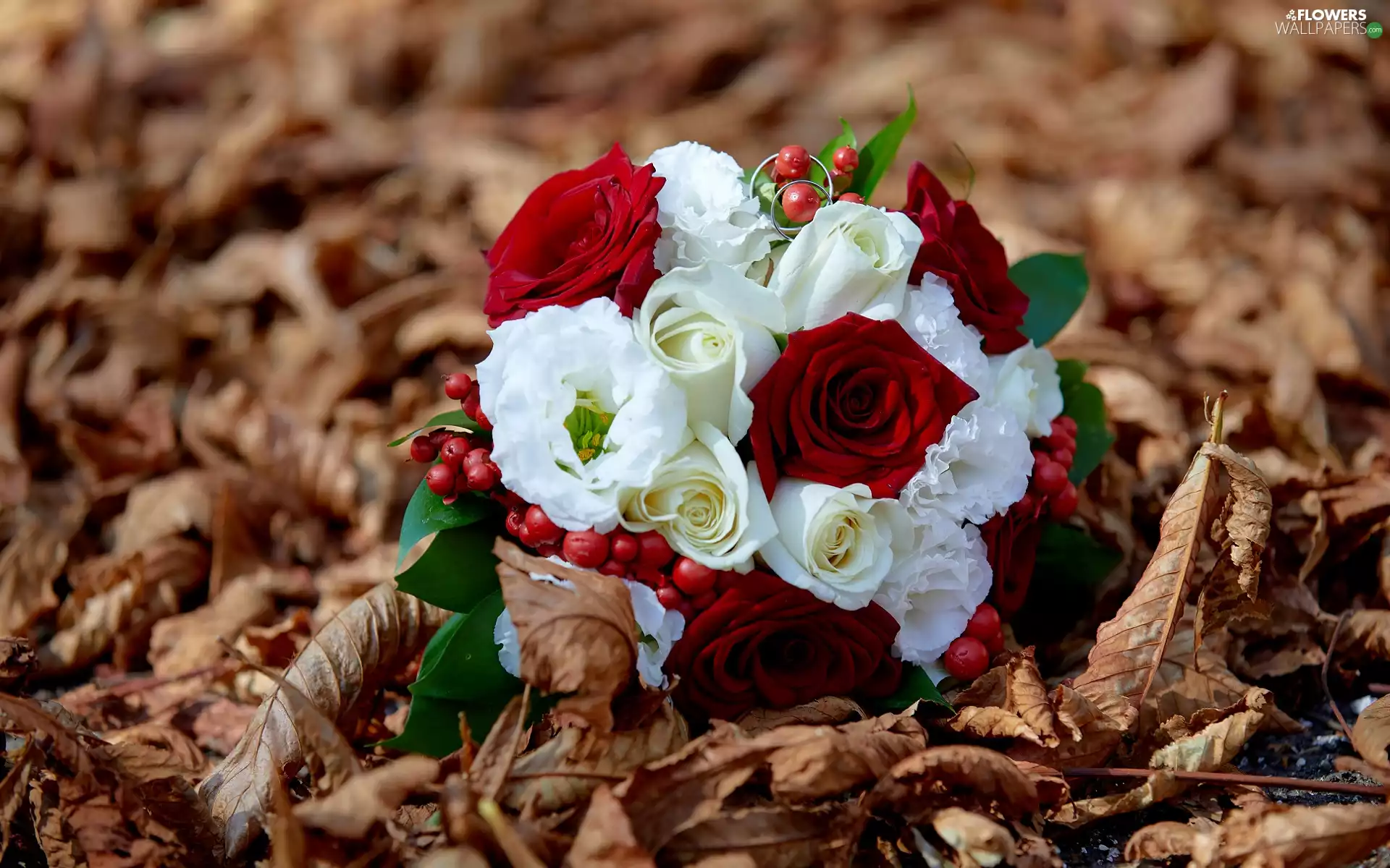 bouquet, dry, Leaf, roses