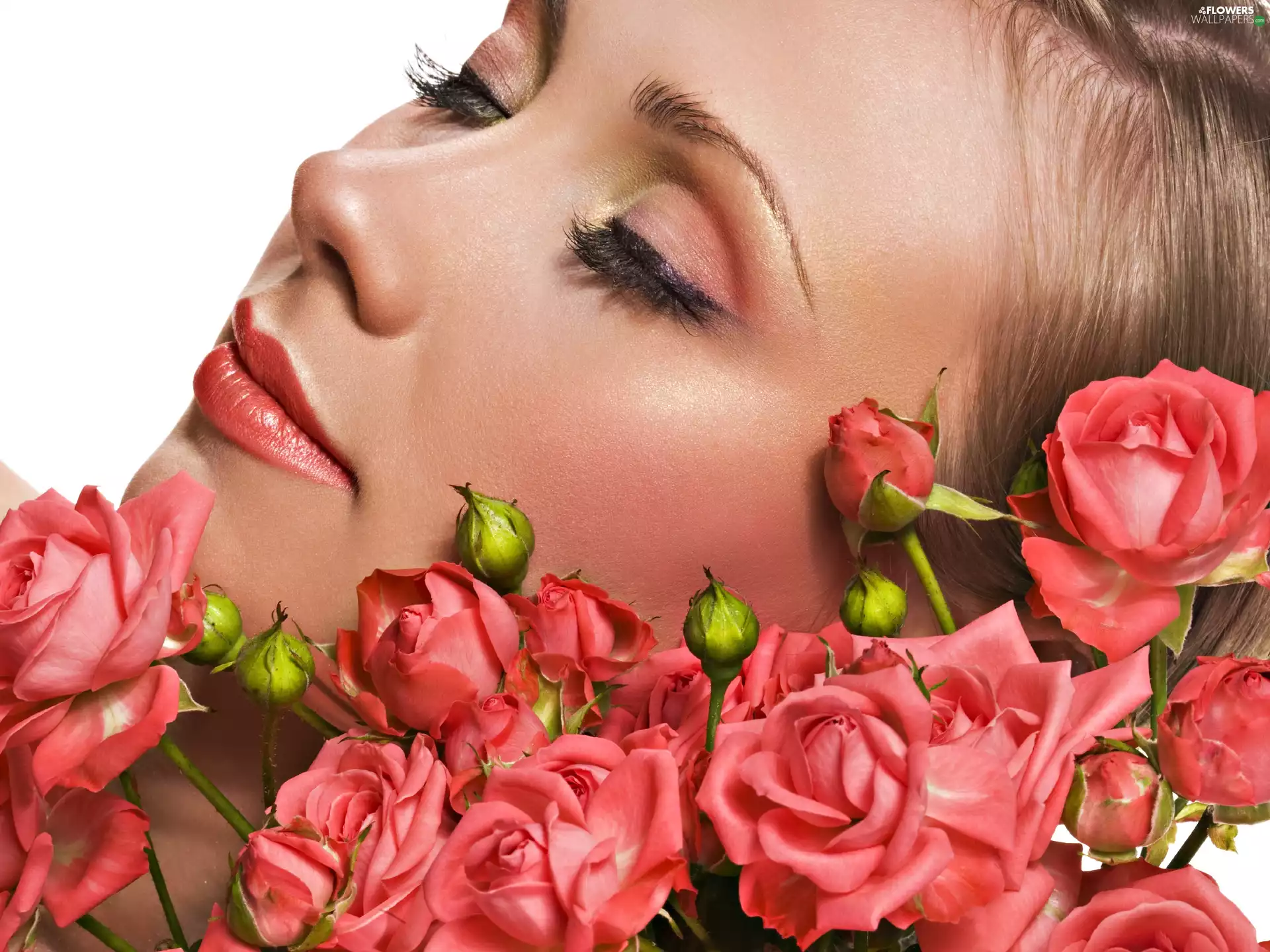 face, make-up, roses, Womens