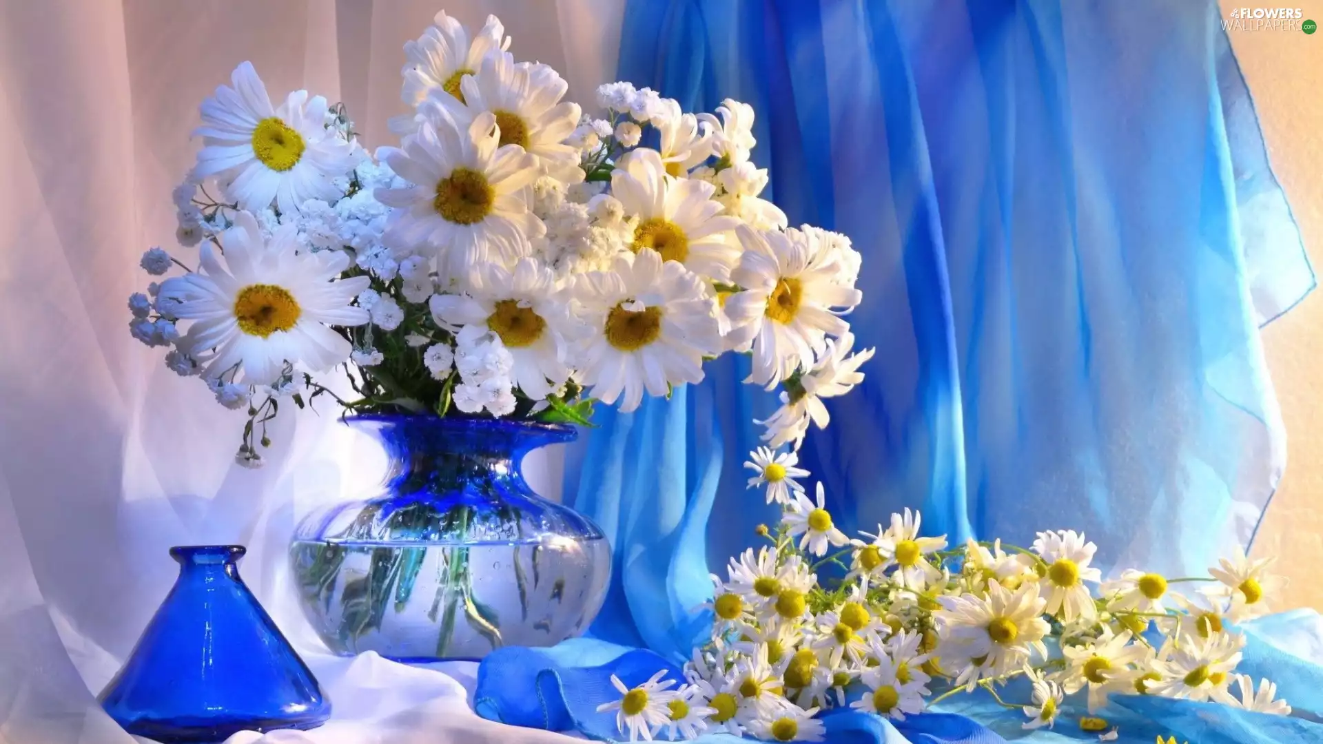 daisy, bouquet, textile, composition, Vase, White