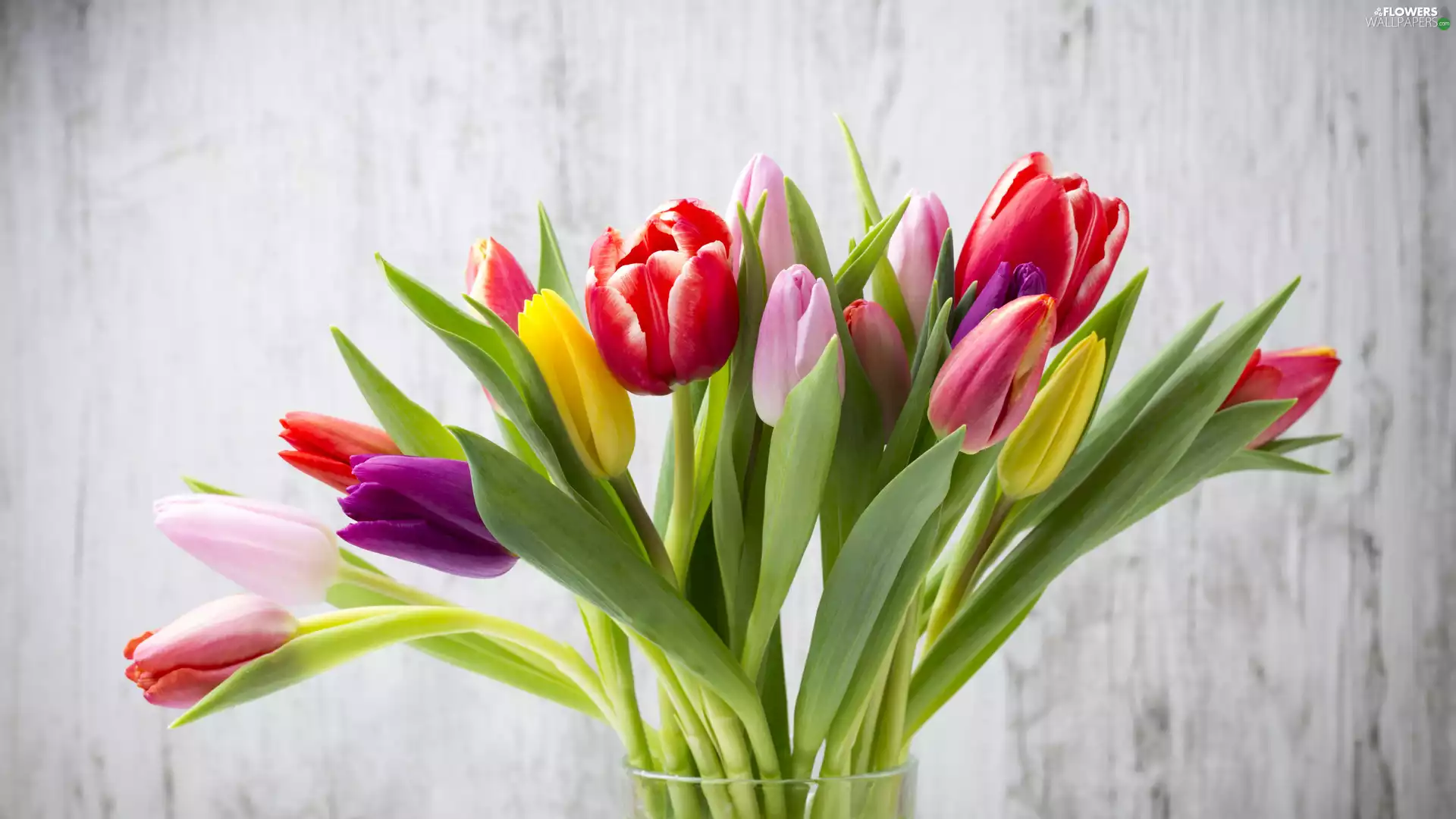 color, bouquet, Vase, Tulips
