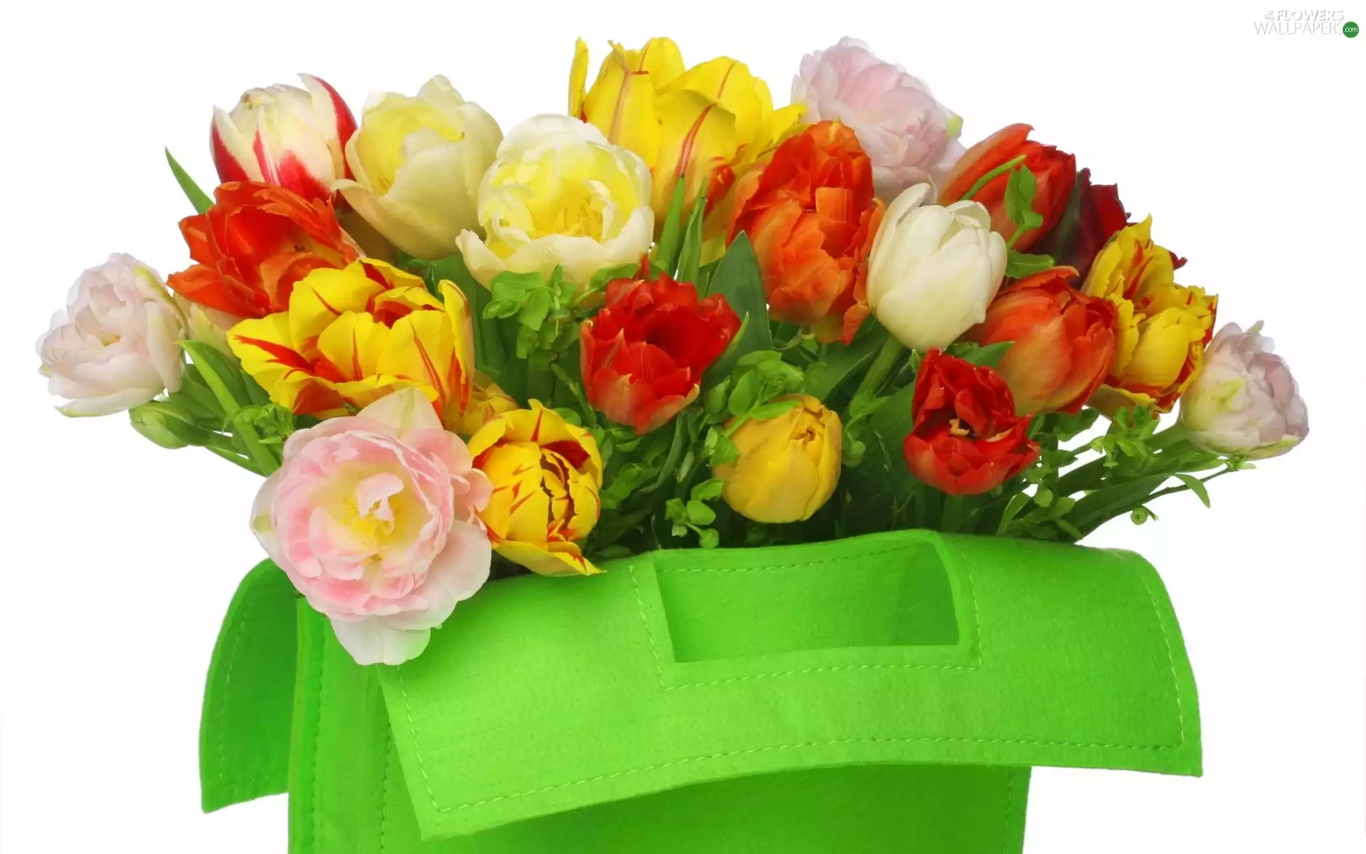 Green, color, Tulips, bag