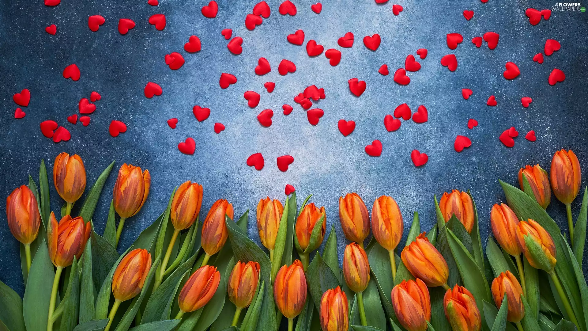 Orange, Red, hearts, Tulips