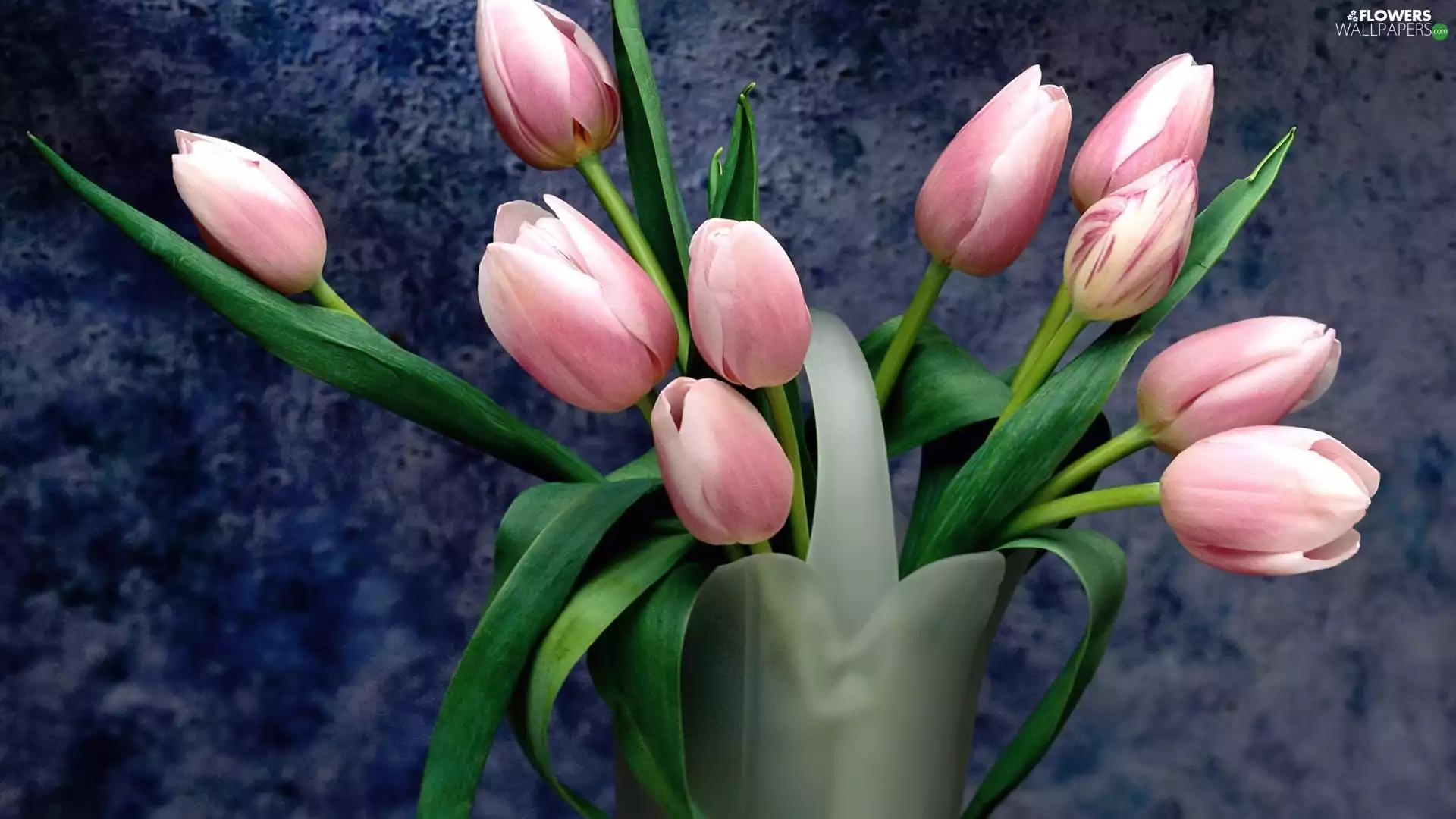 Tulips, Vase, Pink