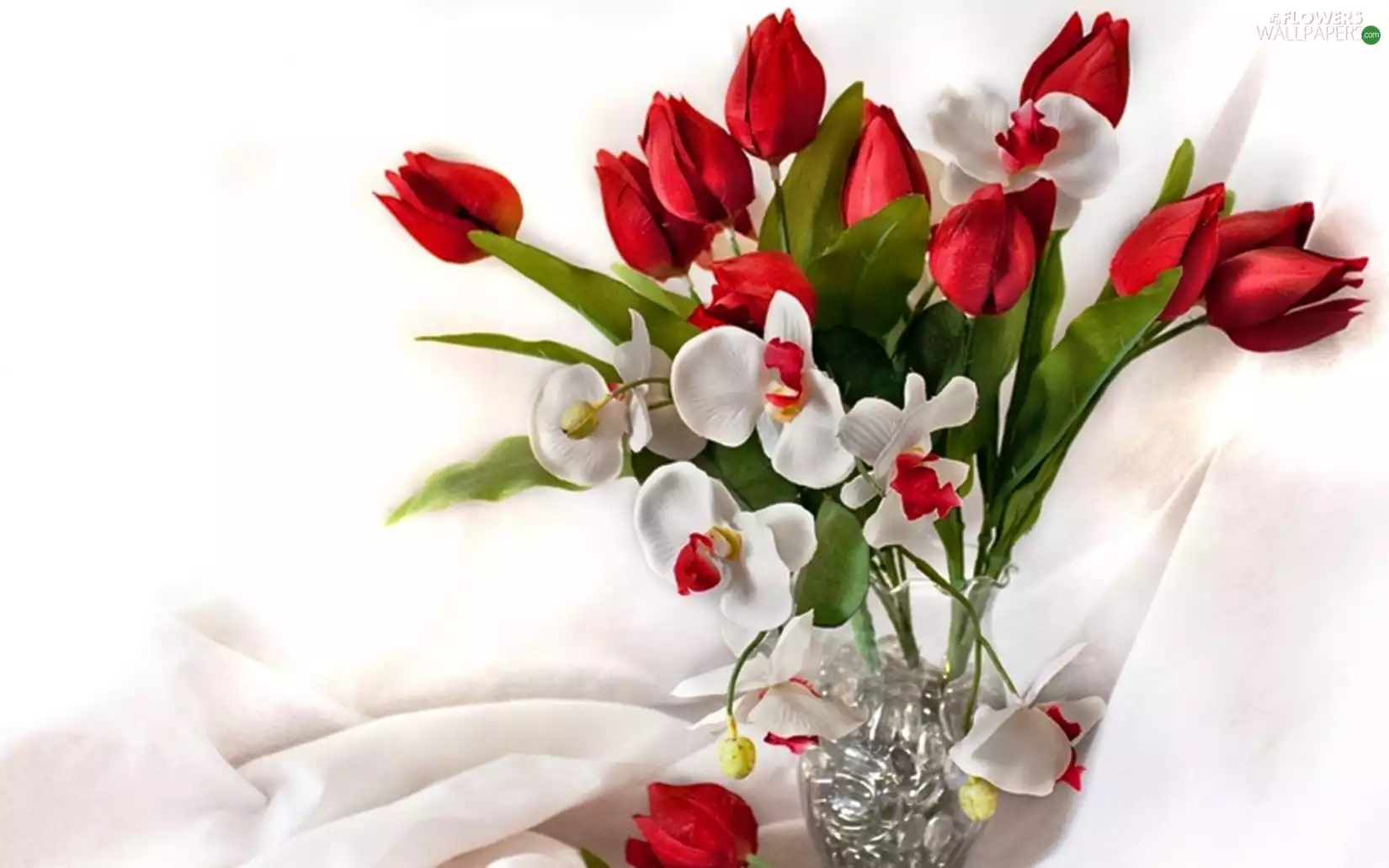 bouquet, Tulips, Vase, flowers