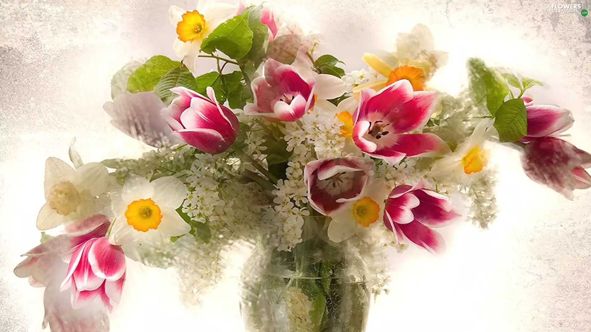 Vase, bouquet, flowers
