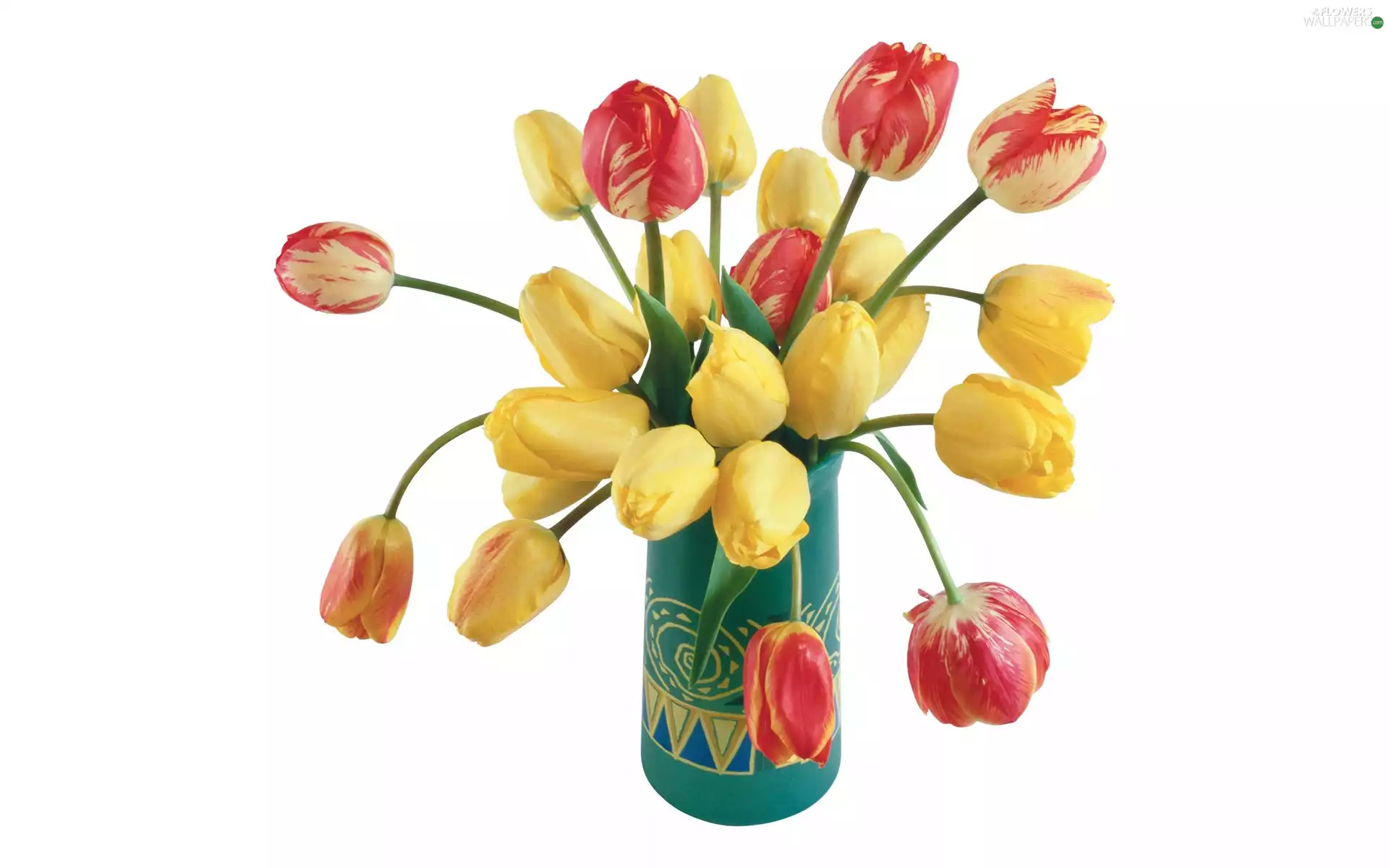 Tulips, Vase