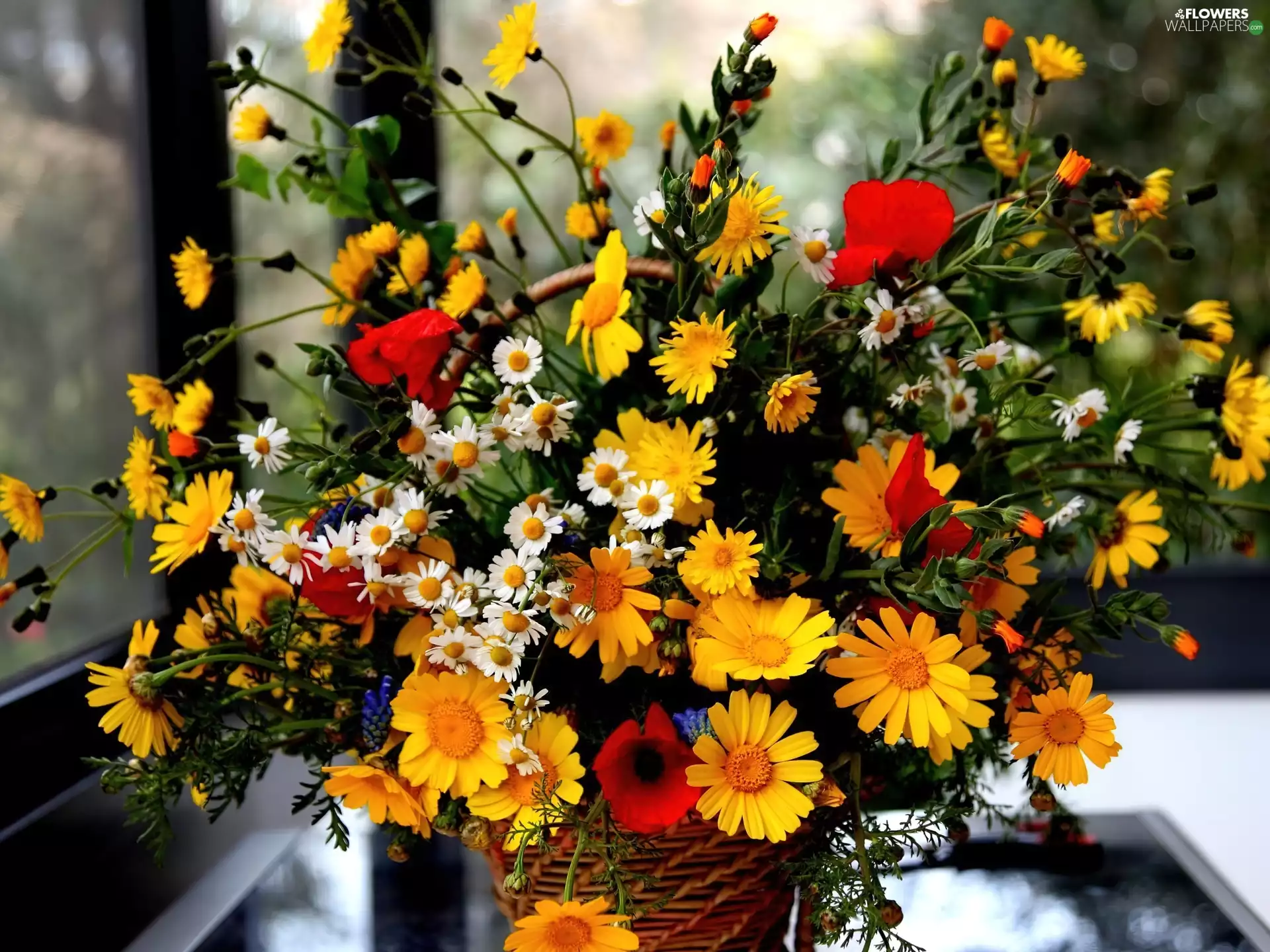 wicker, basket, wild, flowers, bouquet