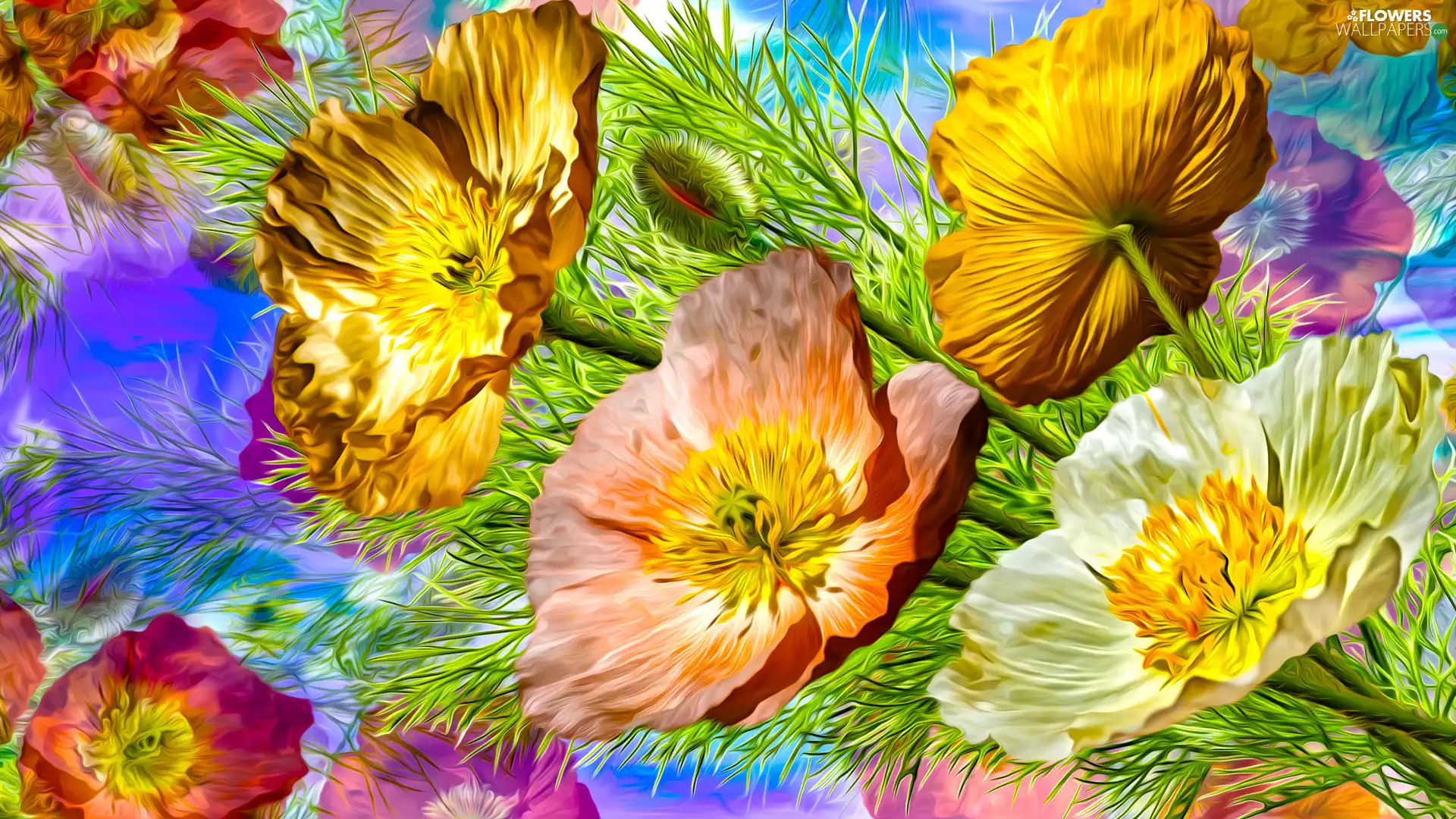 Flowers, papavers, graphics, Yellow
