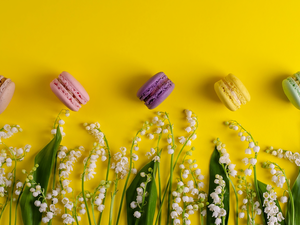 Yellow, background, Macaroons, lilies, Cookies