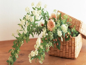 bouquet, wicker, basket, flowers