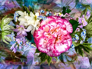 Flowers, leaves, graphics, camellia
