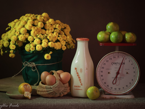 weight, bouquet, eggs, Chrysanthemums, milk, Fruits, composition