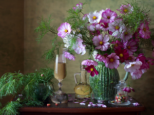 glass, composition, Flowers, Cosmos, Vase