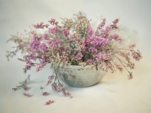 bouquet, flowers, Sea Lavender, Dry