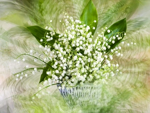 lily of the Valley, basket, Flowers, bouquet, graphics
