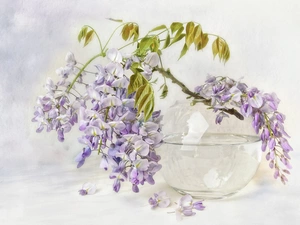wistaria, graphics, Twigs, Flowers, vase