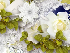 green ones, White, lace, decoration, leaves, roses