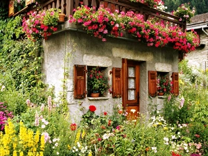 garden, Stone, ivy, geraniums, floral, Houses