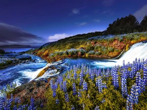 lakes, The Hills, lupine, trees, Flowers, inflow, River, viewes