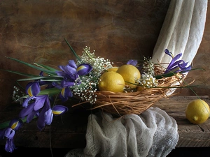 composition, Irises, lemons, Flowers