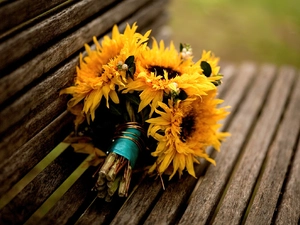 Nice sunflowers, Bench