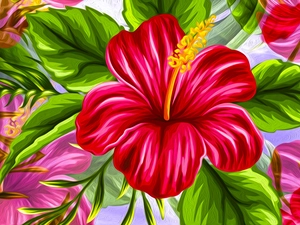 Flowers, hibiskus, graphics, Red