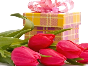 ribbon, Tulips, Box