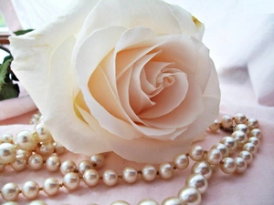 Pearl, Pastel automobile, rose