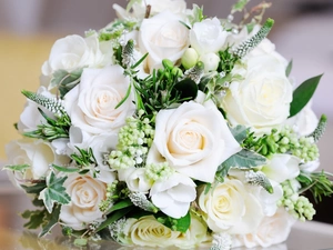 roses, bouquet, White