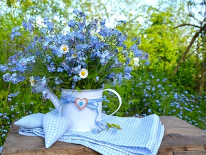 watering can, Forget, heart, daisies, bouquet, rag, tablecloth