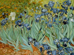 picture, Irises, Vincent Van Gogh