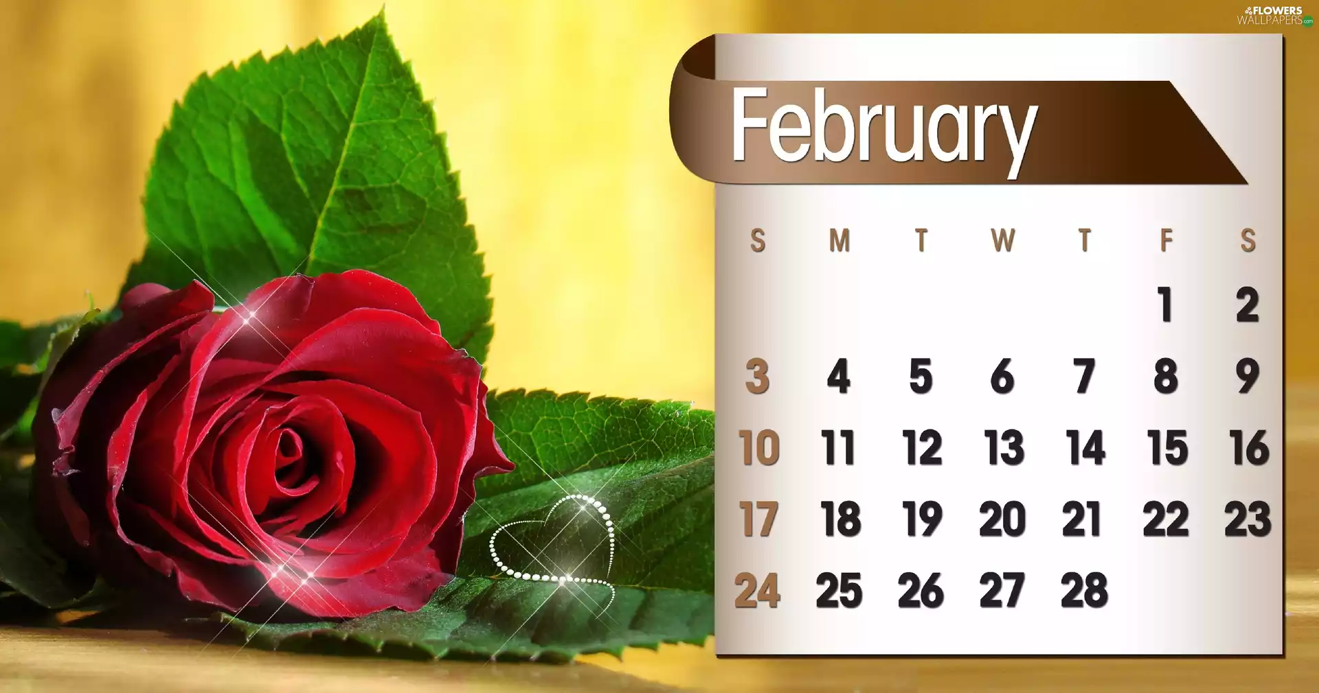 Calendar, february, 2013, rose