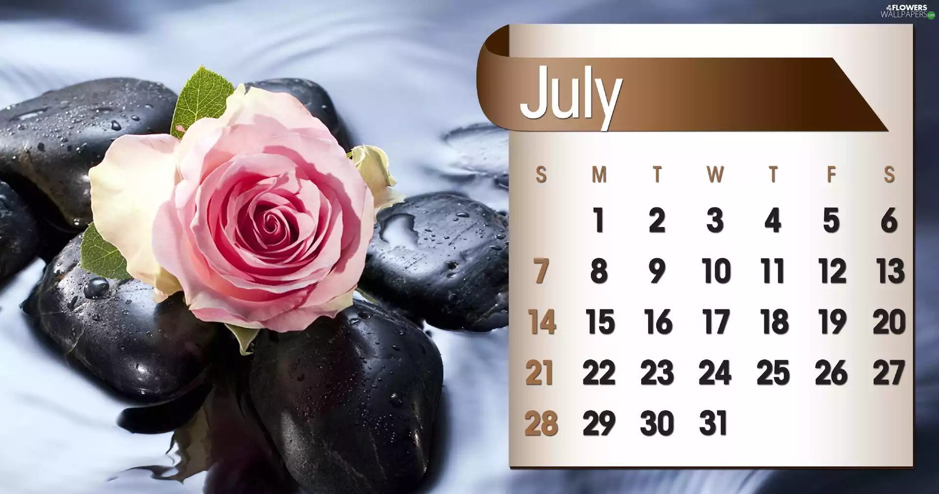 Calendar, july, 2013, rose