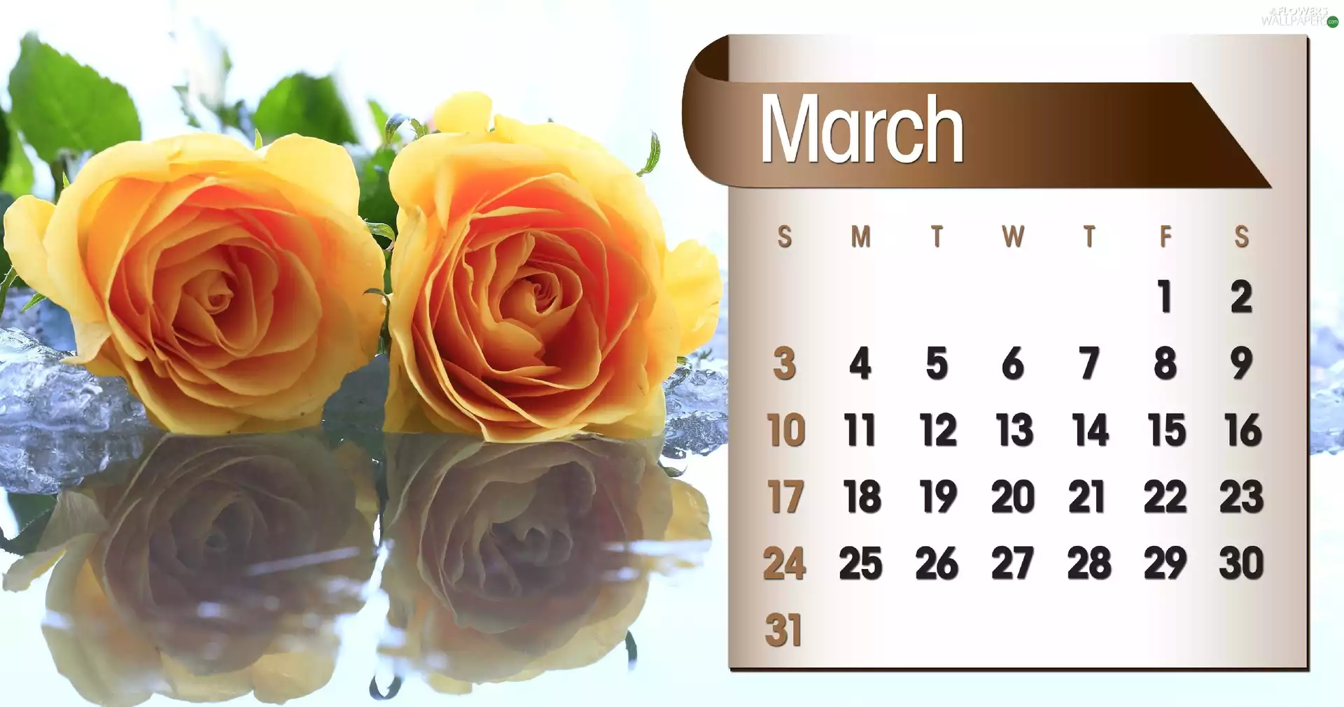 Calendar, march, 2013, roses