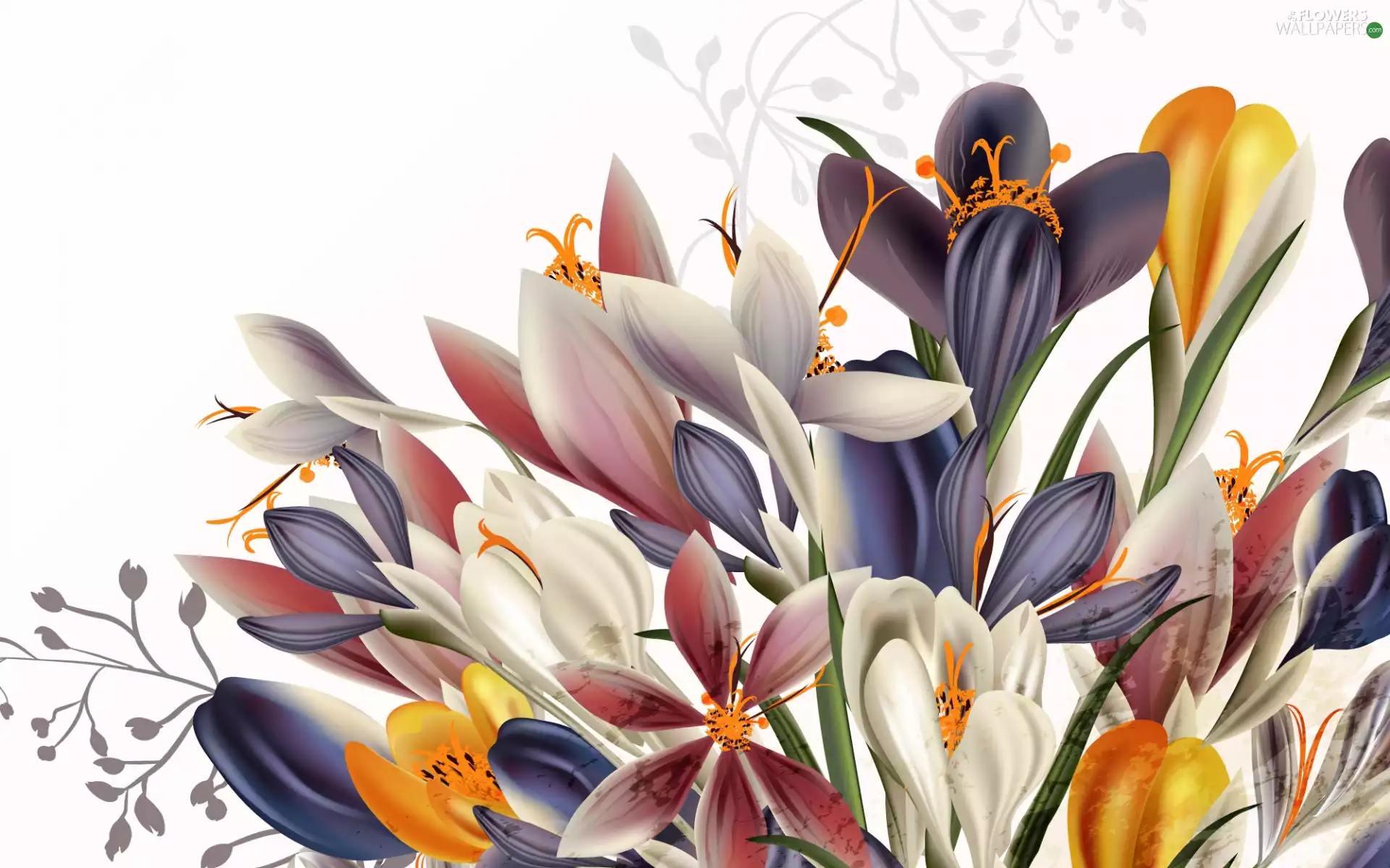 2D, Flowers, crocuses