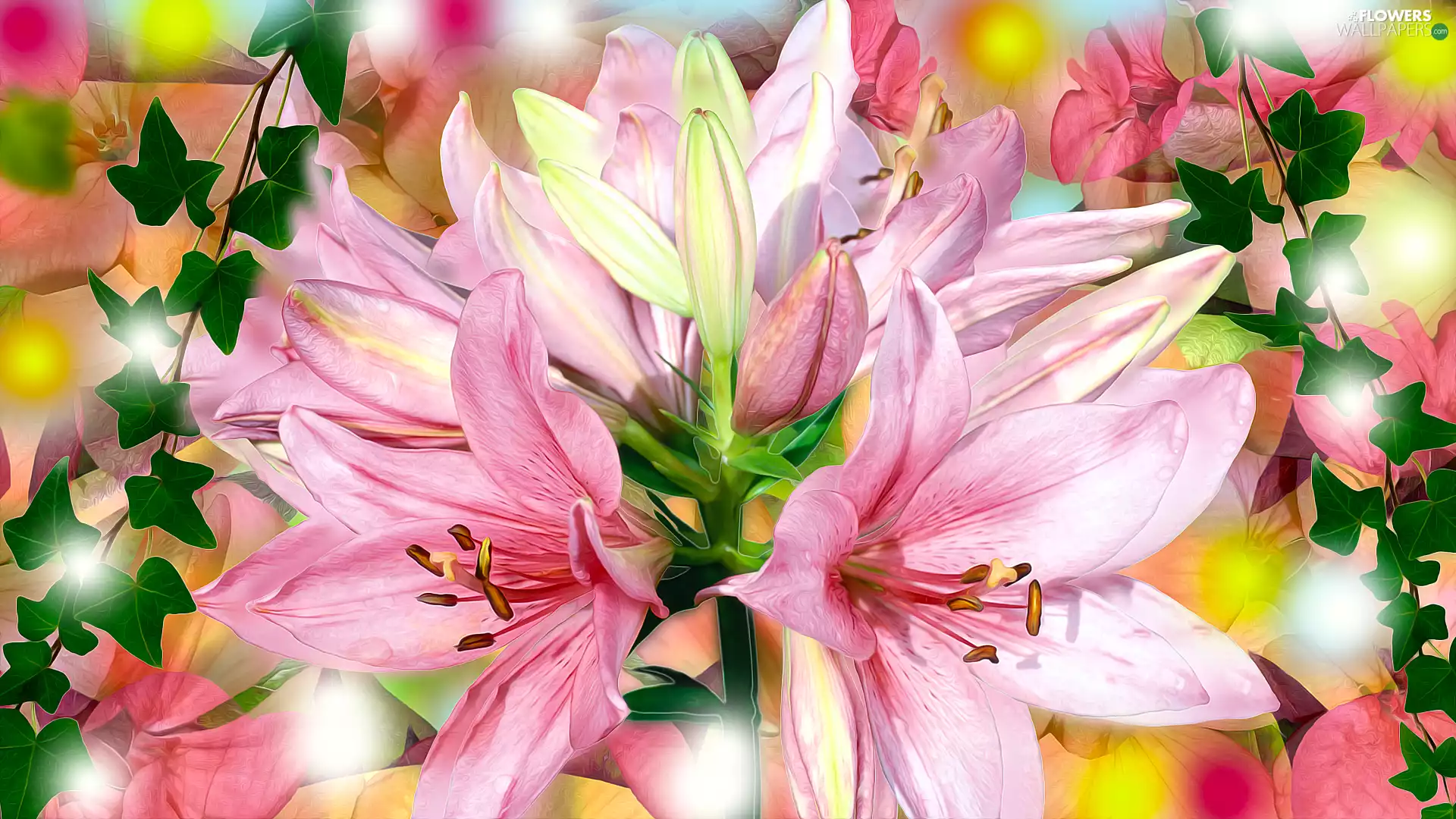 ivy, 2D, Flowers, lilies, Pink