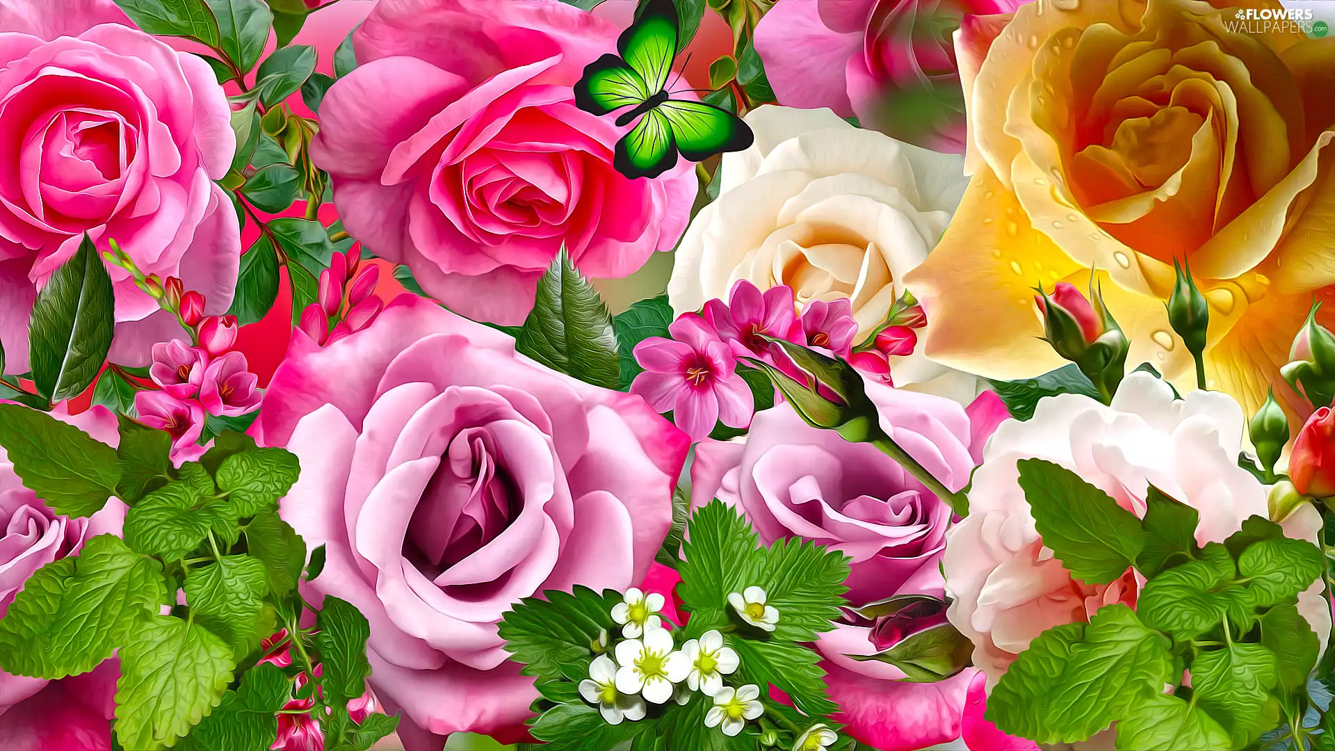mint, 2D, roses, butterfly, Flowers