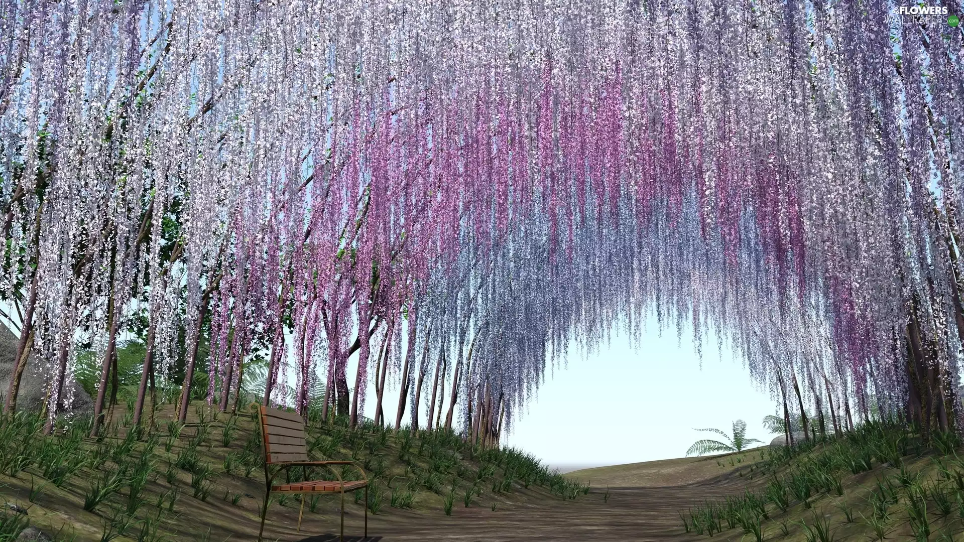 tunnel, 2D, Way, Bench, wistaria