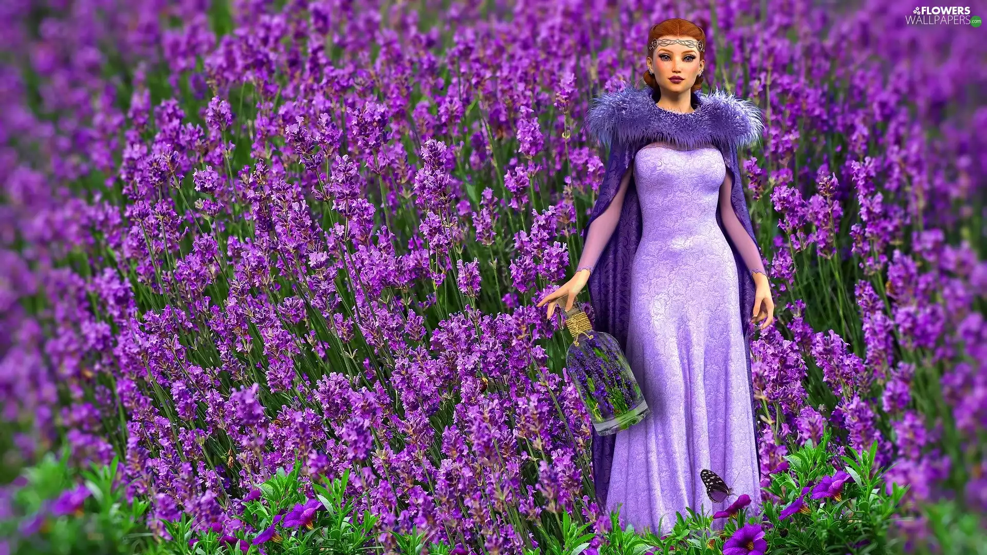 lavender, 2D, Women, jar, Field