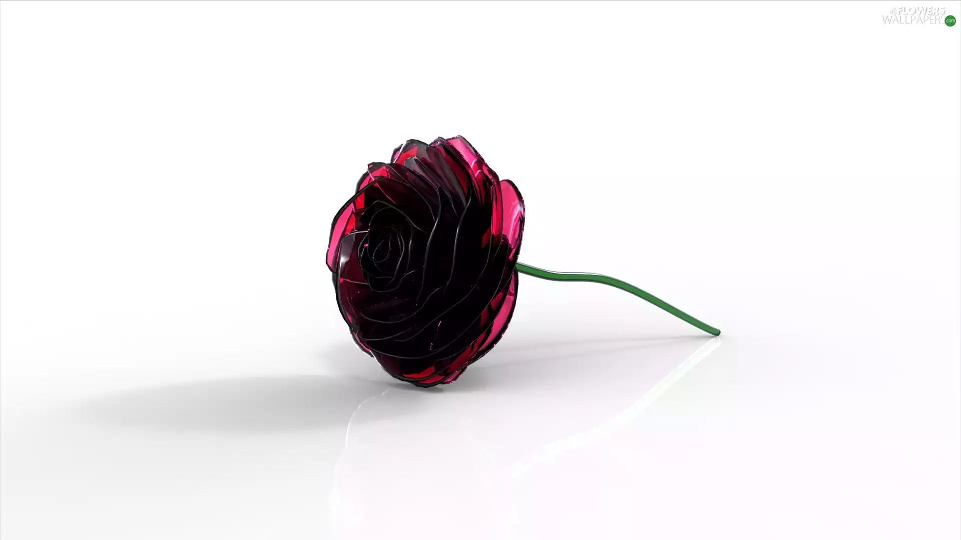 rose, 3D