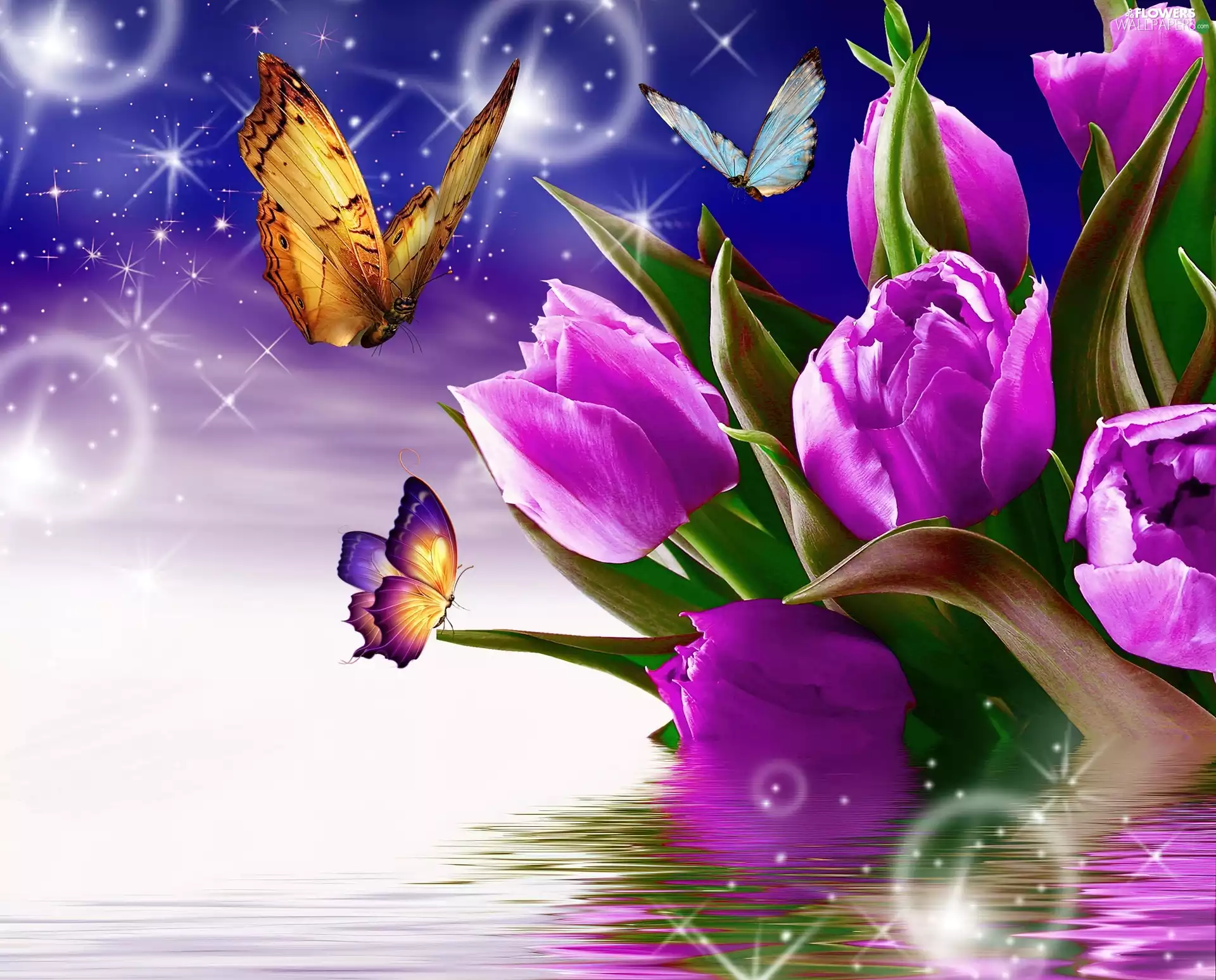 3D, Vectorial, Tulips, butterflies, purple
